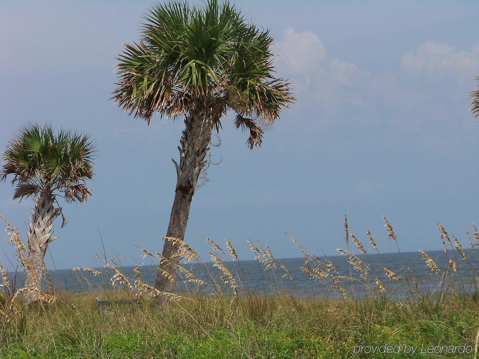 Holiday Inn Express Saint Simons Island By Ihg St. Simons Island Bagian luar foto